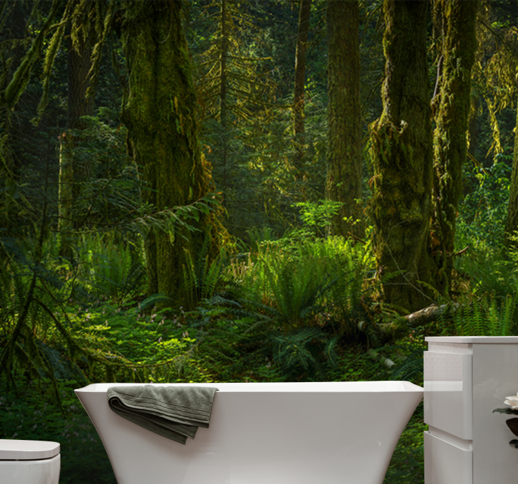 Wall mural nature serene forest escape - TenStickers