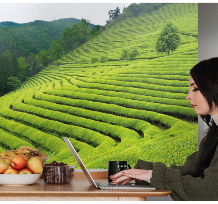 Wall mural nature tea estate scenery - TenStickers