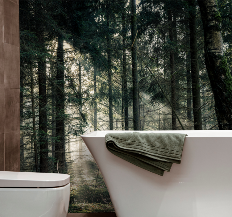 Wall mural nature tranquil woodland scene - TenStickers