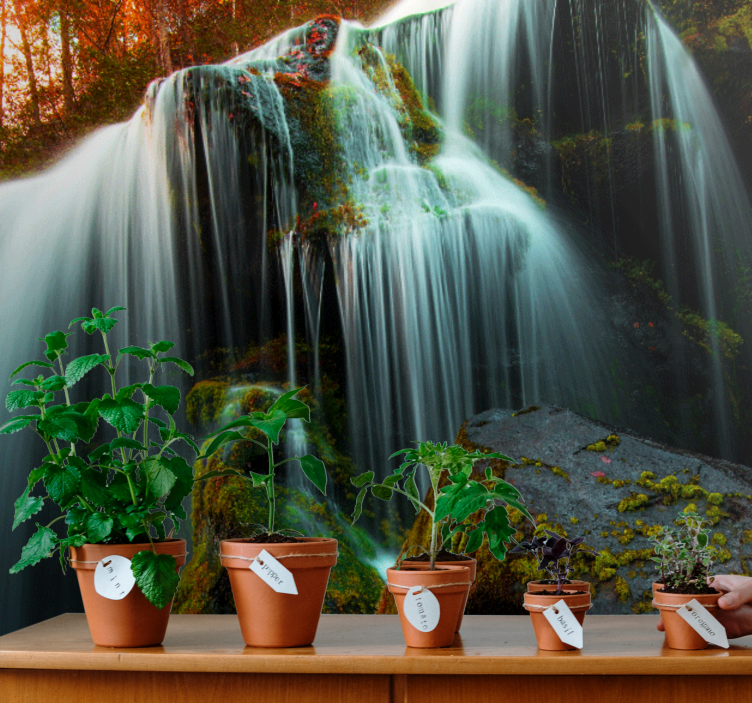 Wall mural waterfall gentle flowing water - TenStickers