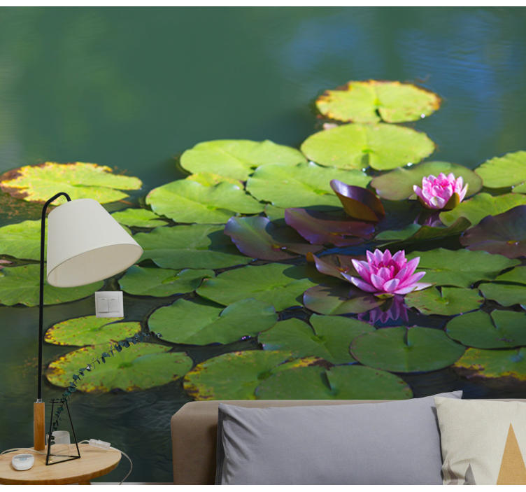 Water Lily Blooms flower wall mural - TenStickers