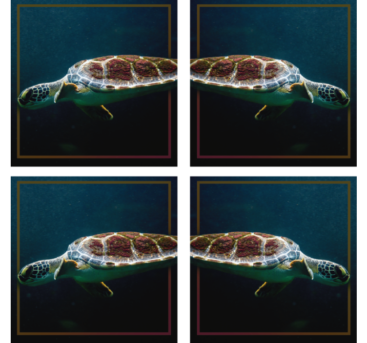 Modern coasters with graceful sea turtle image - TenStickers