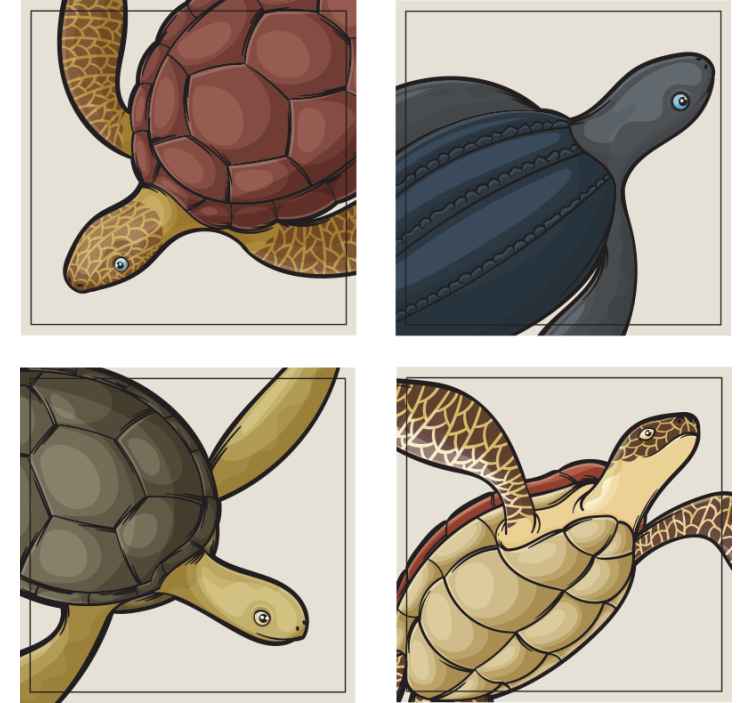 Geek coasters with vibrant turtle art - TenStickers
