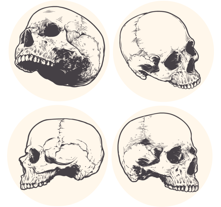 Geek coasters skull art collection - TenStickers