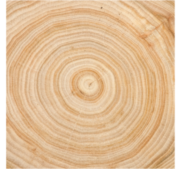 Wood grain circle coasters - TenStickers
