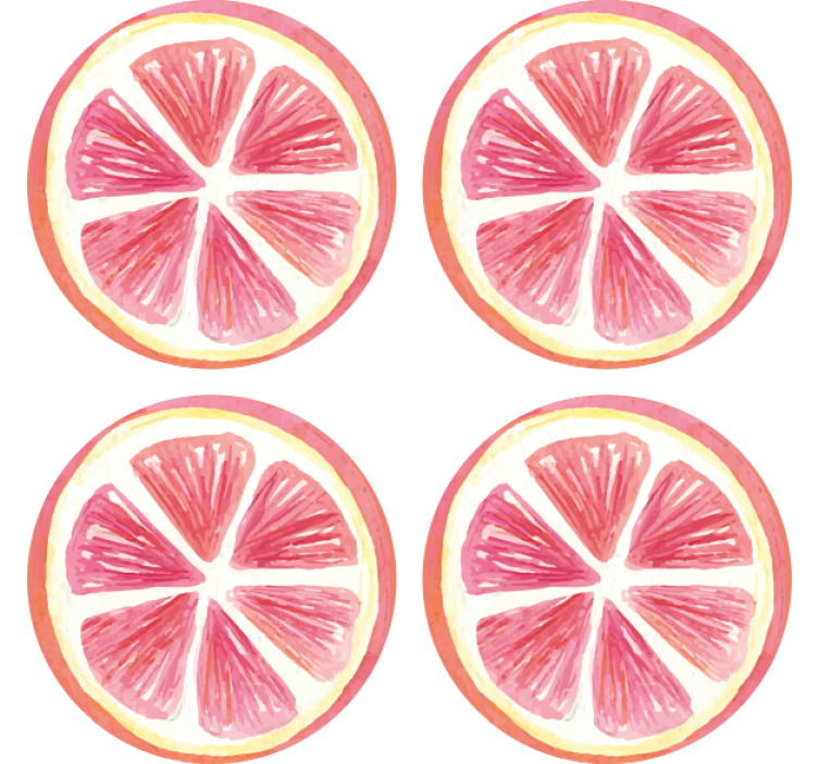 Geek coasters outlined pink citrus slices - TenStickers