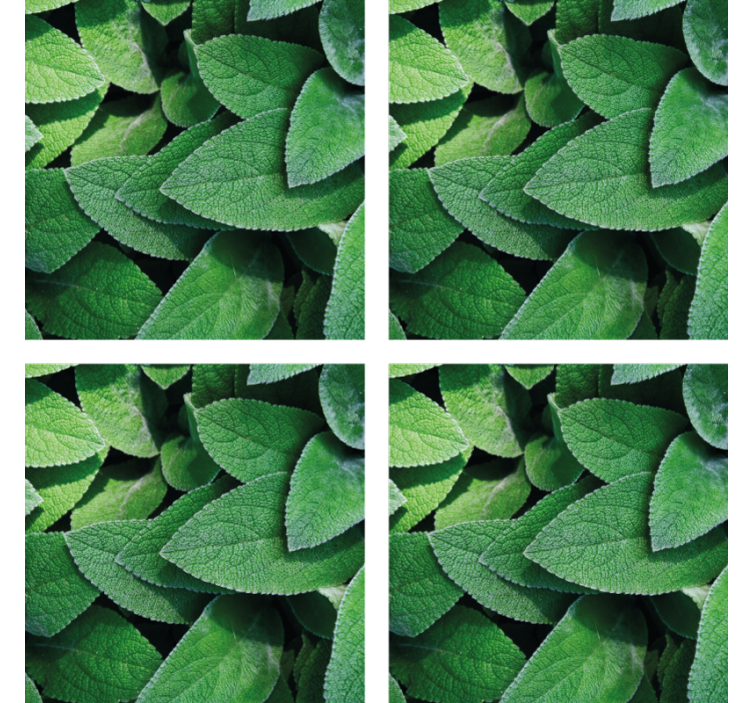 Coasters with vibrant green leaf design - TenStickers