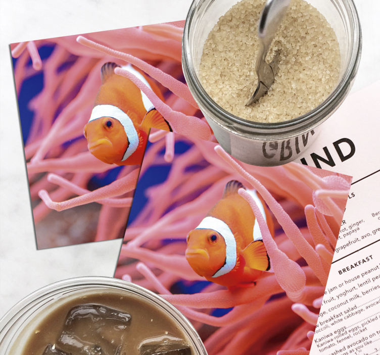 Beautiful clownfish in the sea fish coaster - TenStickers