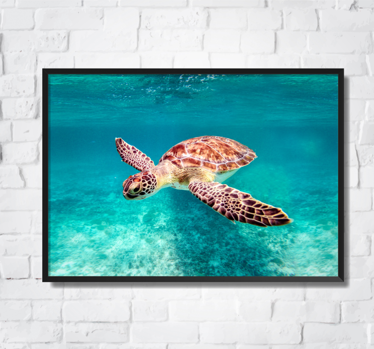 sea ​​turtle animal poster - TenStickers