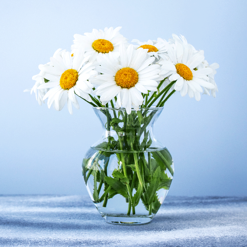 Living room poster daisy flowers in glass pots - TenStickers
