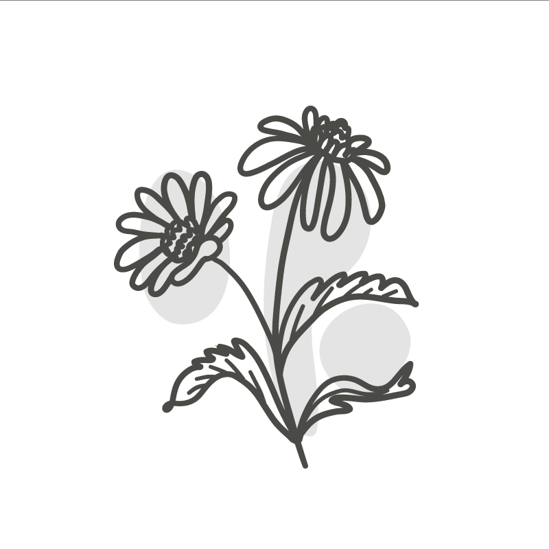 Living room poster of daisy flowers line art design - TenStickers