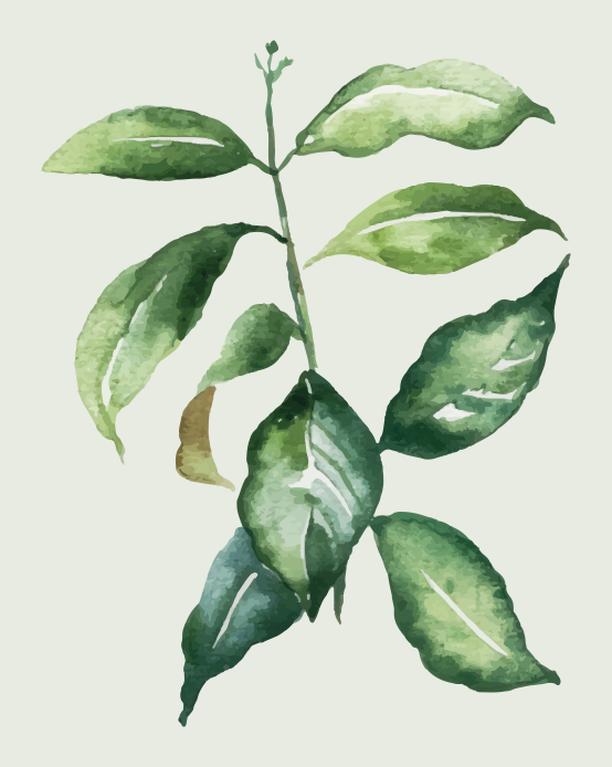 Flowers poster with lime palm leaf design - TenStickers