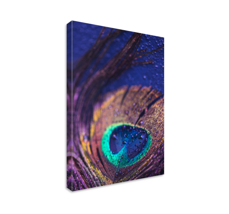 Flowers canvas with peacock feather design - TenStickers