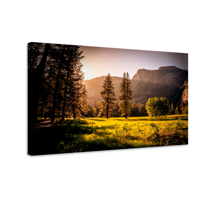 Landscape canvas golden sunlit forest - TenStickers