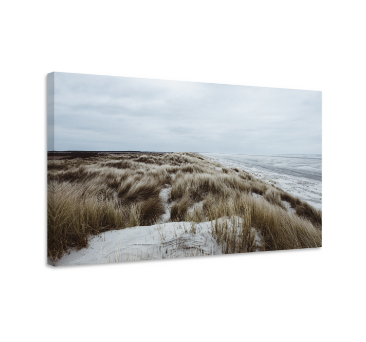 Landscape canvas coastal dune view canvas - TenStickers