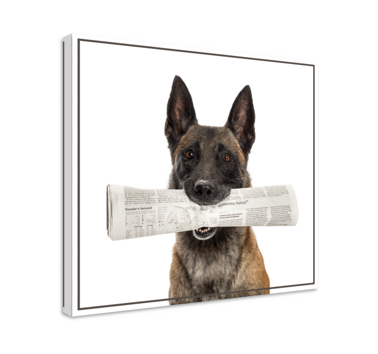 Dog with newspaper dog canvas prints - TenStickers