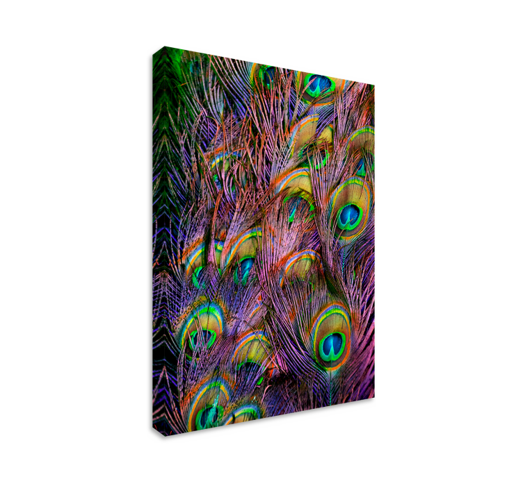 Peacock feather bird canvas art - TenStickers