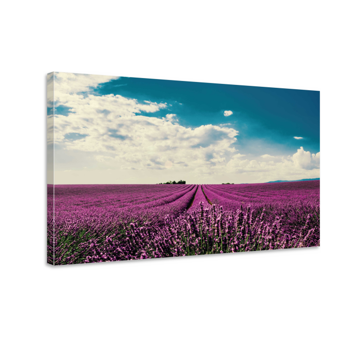 Flowers canvas lavender field scene - TenStickers