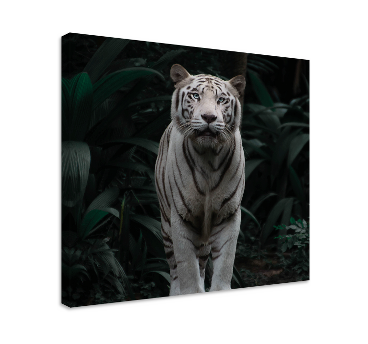 Animal canvas wall art majestic white tiger - TenStickers