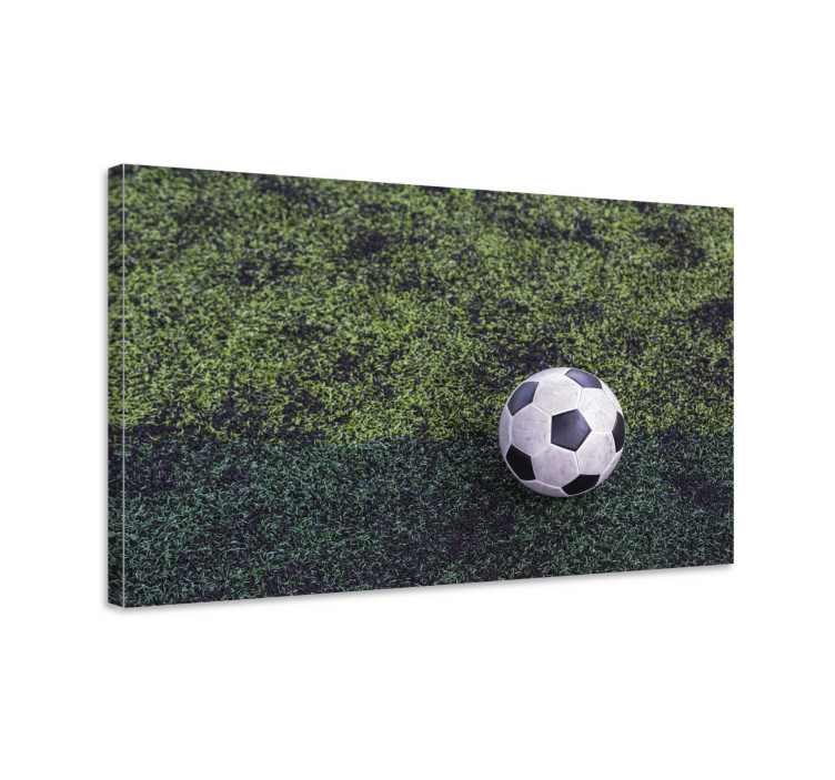 Sports canvas art soccer ball on grass - TenStickers