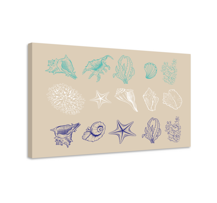 Nautical canvas art coastal shell collection - TenStickers