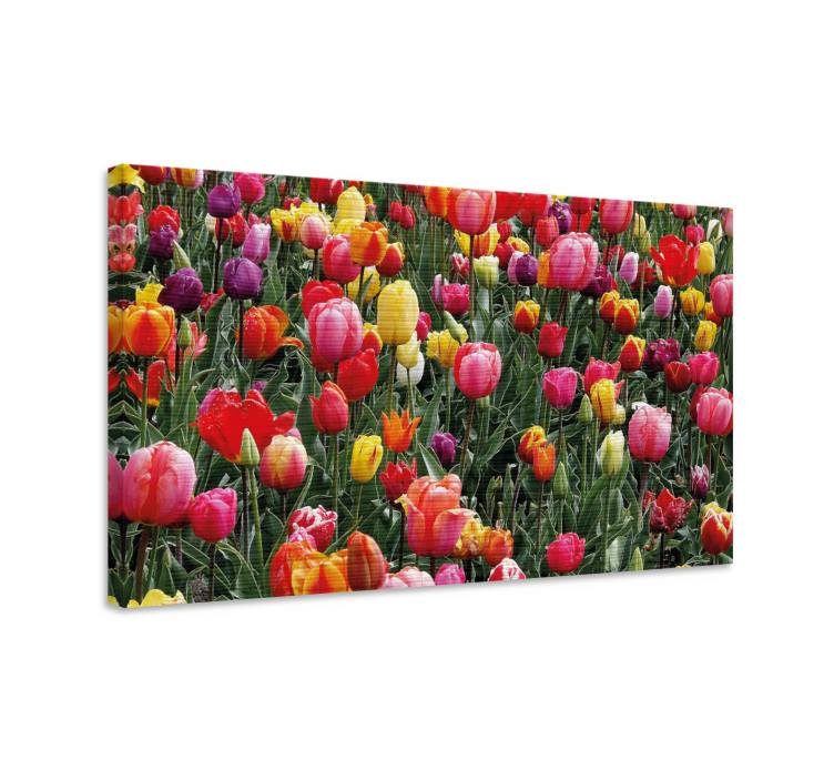 Flowers canvas colorful tulip blooms artwork - TenStickers