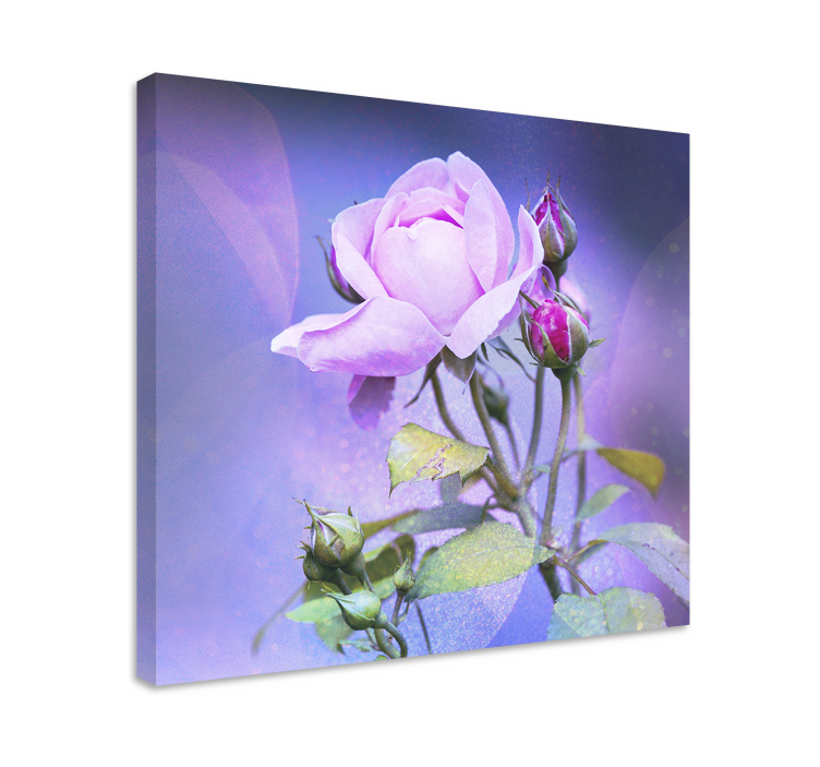 Flowers canvas pink blooming rose art print - TenStickers