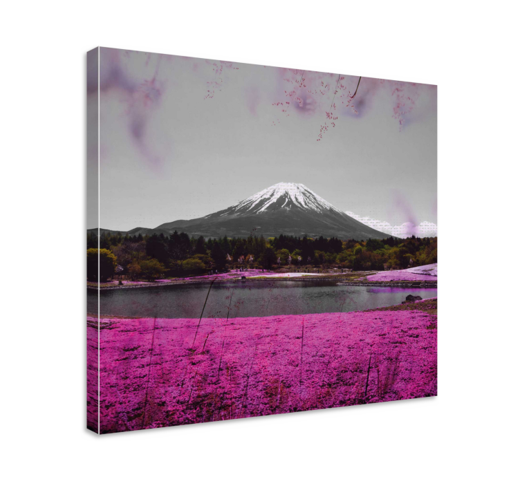 Pink flowers field in Japan flower canvas - TenStickers