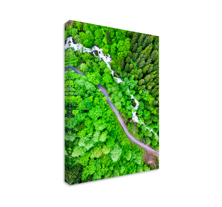 Landscape canvas winding forest river scene - TenStickers