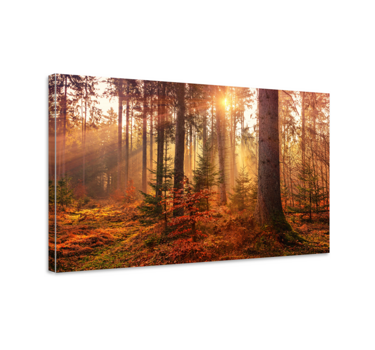 Tree canvas wall art forest tranquility - TenStickers
