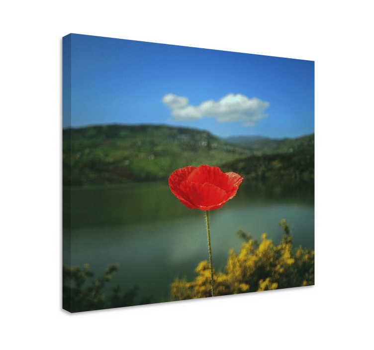 Flowers canvas red poppy blossom art print - TenStickers