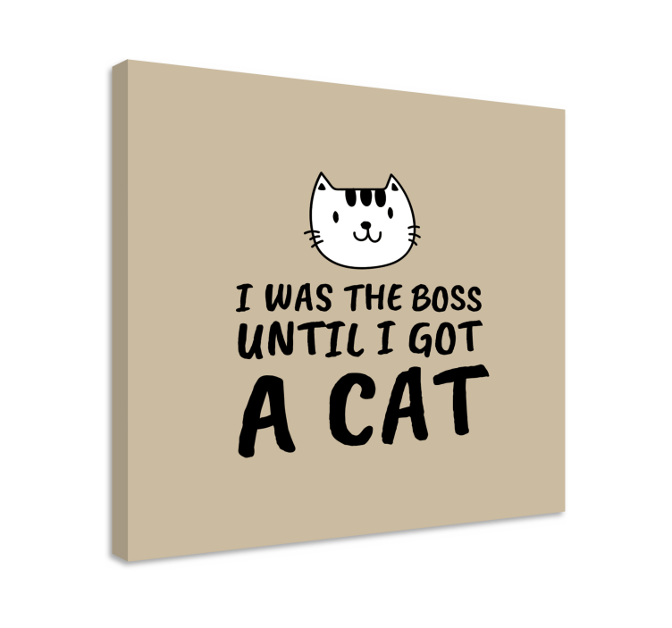 Cat wall art you had me at meow - TenStickers