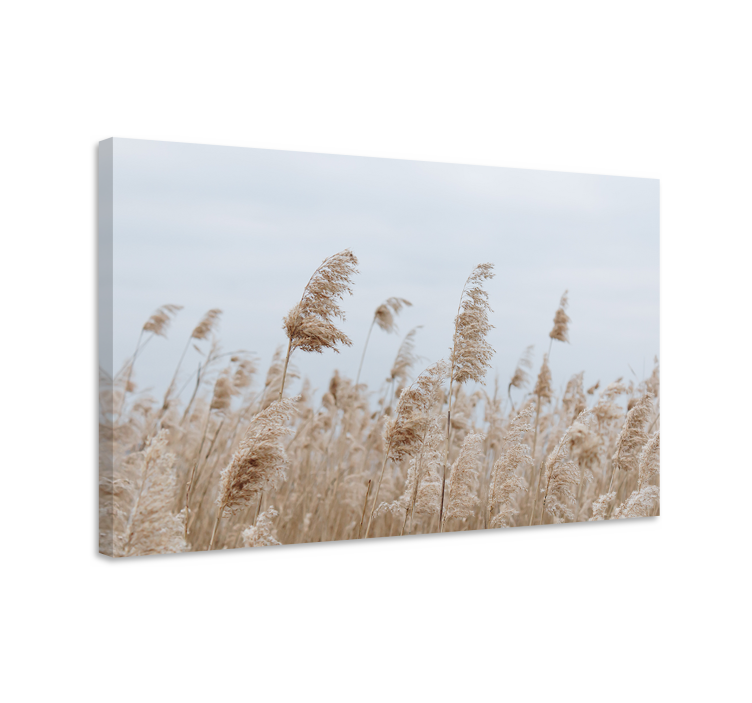 Flowers canvas gentle meadow breeze - TenStickers