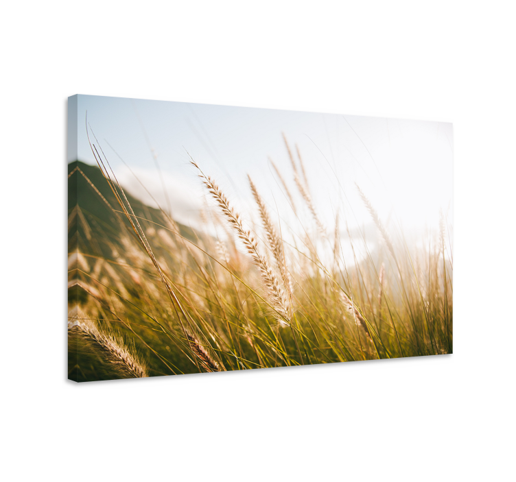 Flowers canvas golden grass meadows - TenStickers