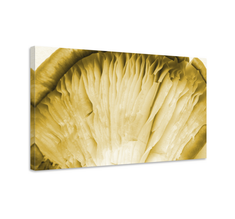 Flowers canvas mushroom gills art print - TenStickers