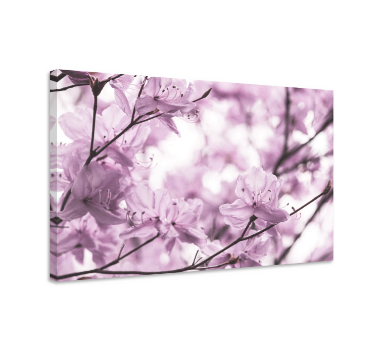 Elegant feminin azalea flower flower canvas - TenStickers