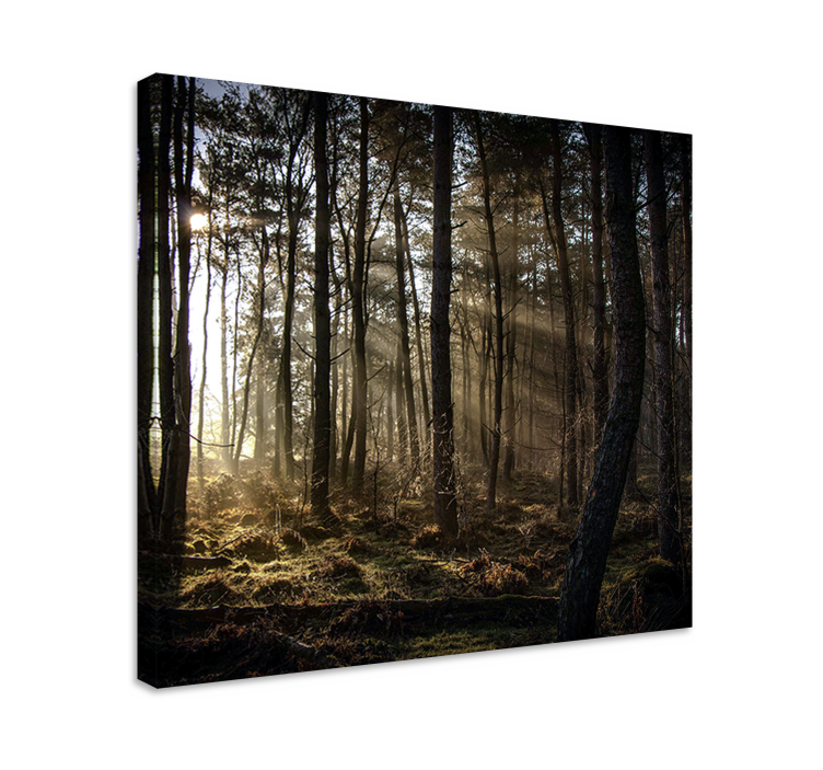 Enchanted Forest Scene landscape canvas - TenStickers