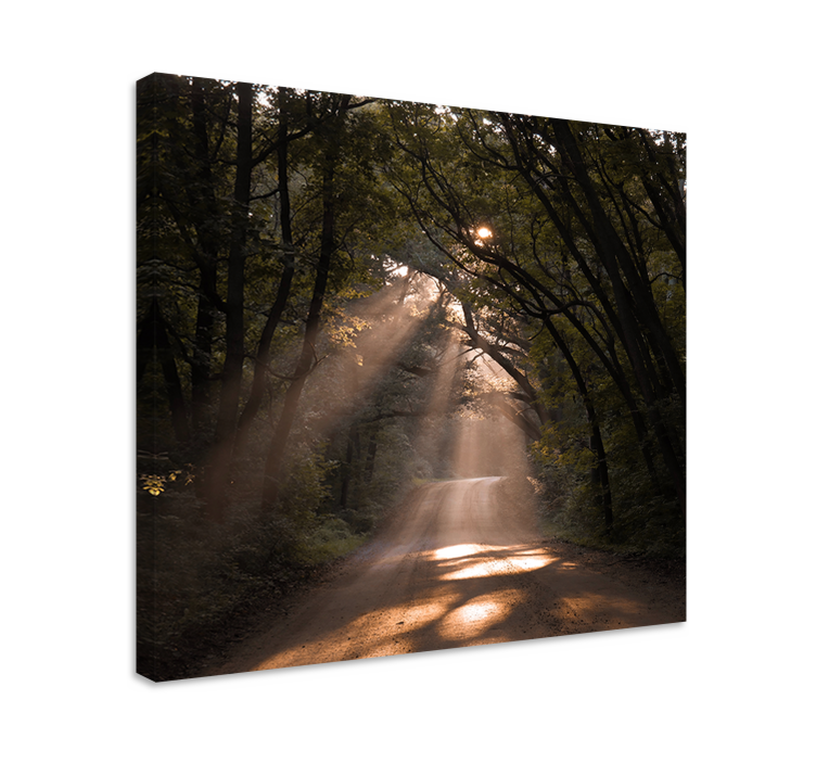 "Nature"road in forest Tree wall canvas - TenStickers
