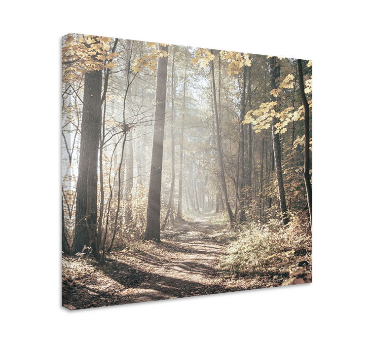 Landscape canvas mist-covered path - TenStickers