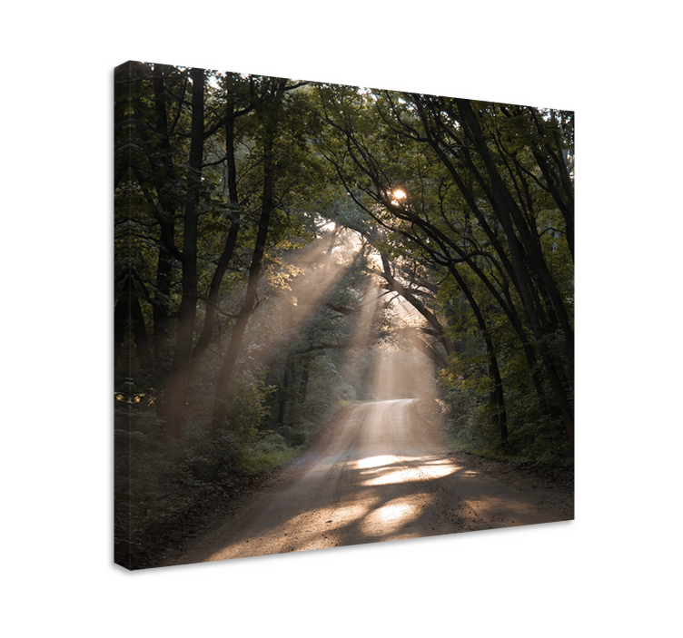 Sunny woodland trail landscape canvas - TenStickers
