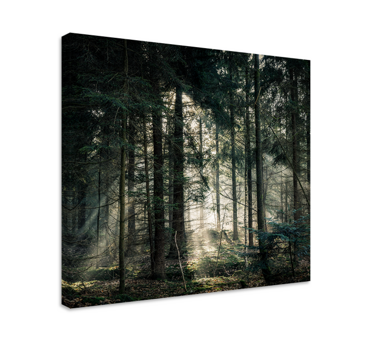 Landscape canvas sunbeams through the foliage - TenStickers