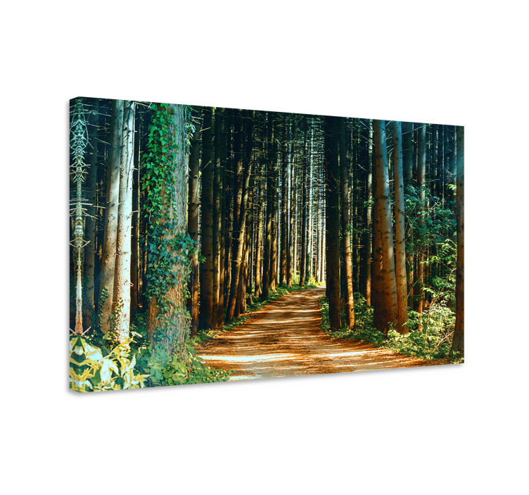 Forest path landscape canvas - TenStickers
