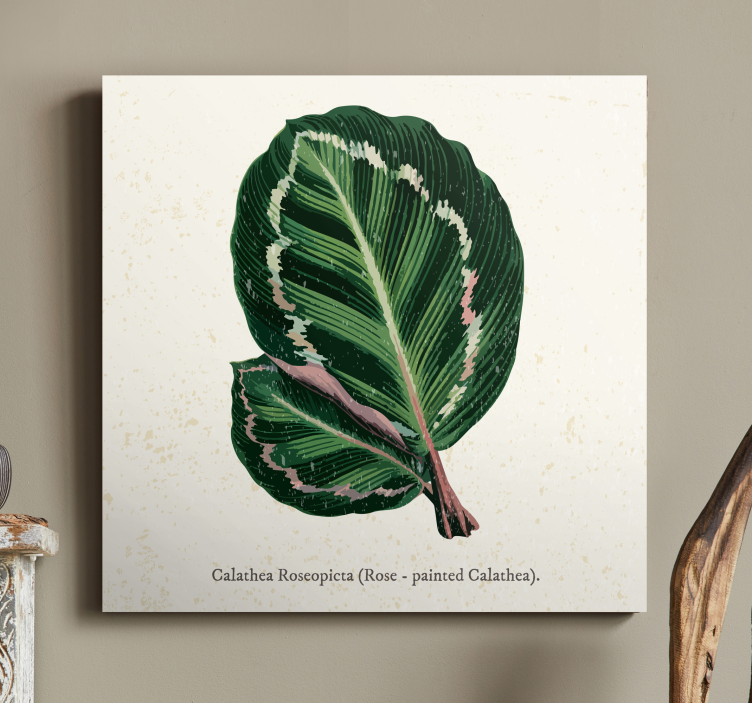Calathea Leaf Illustration plant canvas art - TenStickers