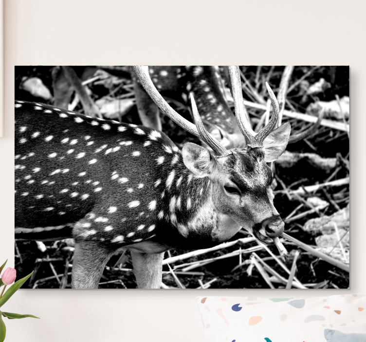 Elegant gray scale portrait stag canvas - TenStickers