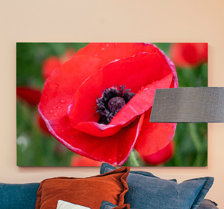Flower canvas close-up poppy blossom - TenStickers