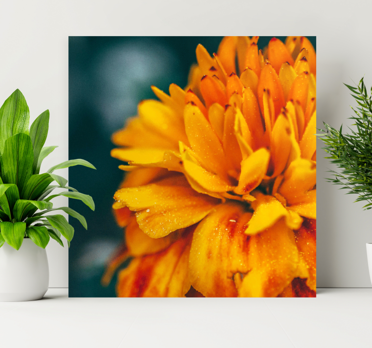 Flower canvas vibrant orange blossom - TenStickers