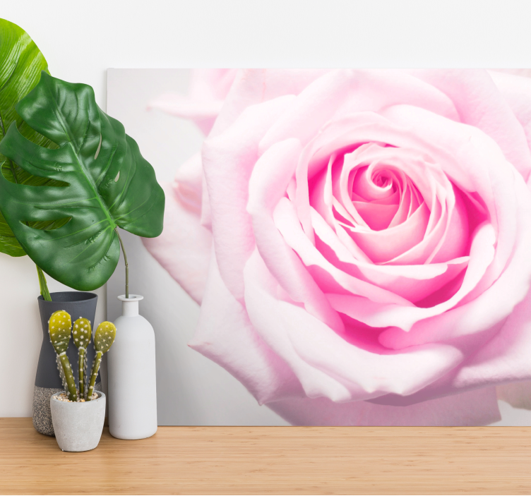 Flowers canvas blush rose blossom - TenStickers