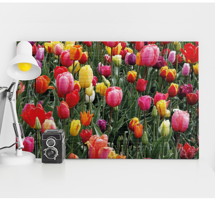 Flowers canvas colorful tulip blooms artwork - TenStickers