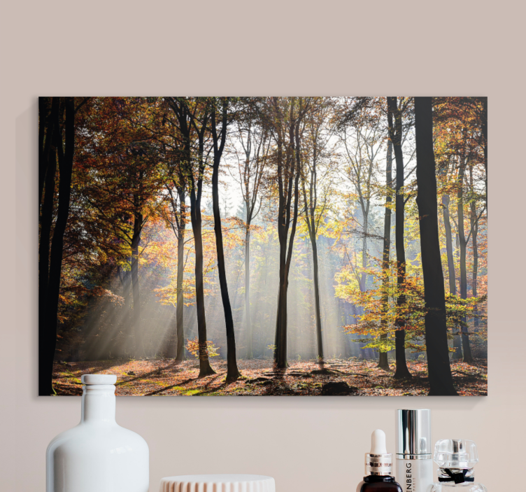 Forest light rays landscape canvas - TenStickers
