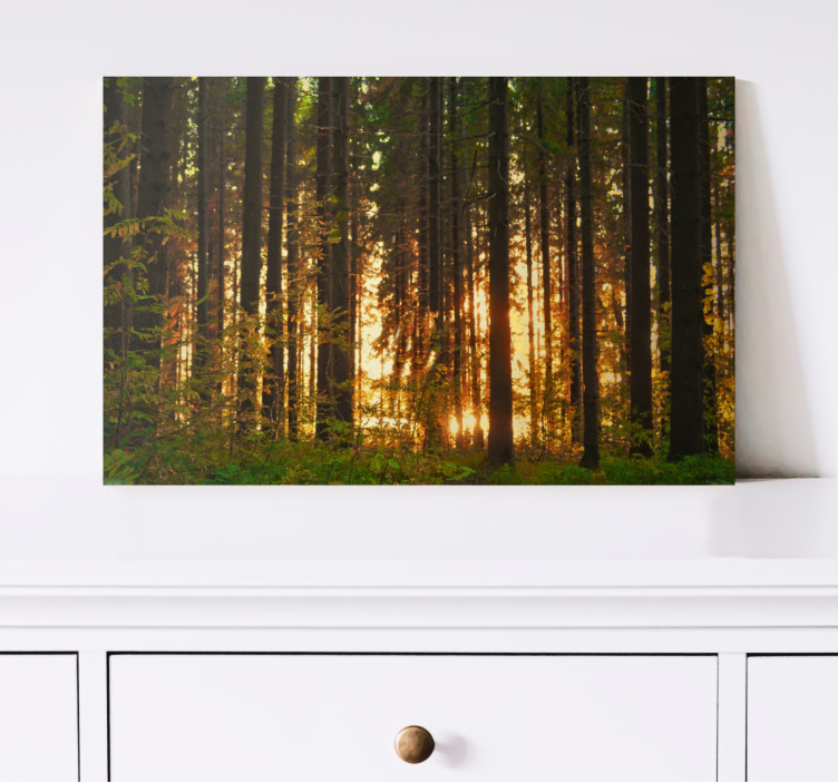 Landscape canvas illuminated woodland scene - TenStickers